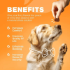 Dog Allergy Relief Chews Itch Relief for Dogs Anti Itch Dog Allergy Chews US Formulated Dog Itching Skin Relief with Salmon Oil Immune Health Sea