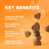Dog Allergy Relief Chews Itch Relief for Dogs Anti Itch Dog Allergy Chews US Formulated Dog Itching Skin Relief with Salmon Oil Immune Health Sea