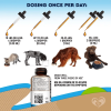 Cats and Dogs Natural Wormer Treatment with Probiotic Liquid Herbal Medicine Prevention Medication Supplement Drops for Kitten and Puppies for Dail