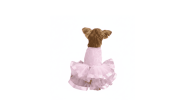 Pink Lace & Ruffles Dog Dress with Matching Leash