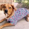 Hawaiian Camp Shirt